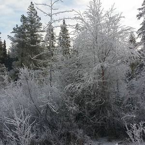 Meet your Posher, Cara